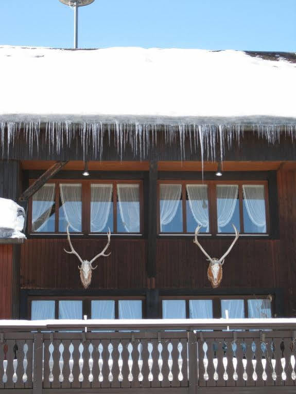 Schwarzwaldgasthof Hotel Hirschen Ibach 外观 照片