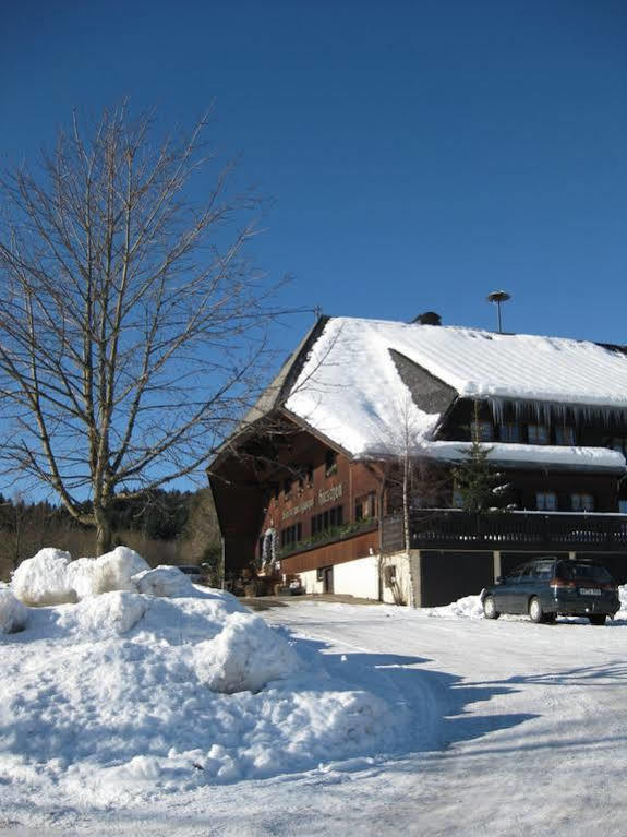 Schwarzwaldgasthof Hotel Hirschen Ibach 外观 照片