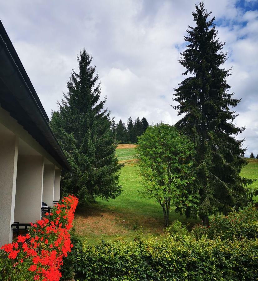 Schwarzwaldgasthof Hotel Hirschen Ibach 外观 照片